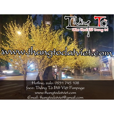 Cho thuê cây mai giả cao 2m5